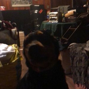 Meet your Posher, Monika